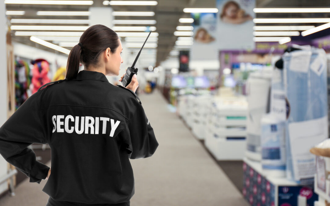 9 Factors that Make a Good Security Plan for Your Business